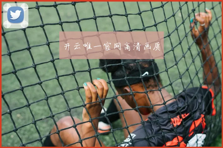 开云唯一官网高清画质