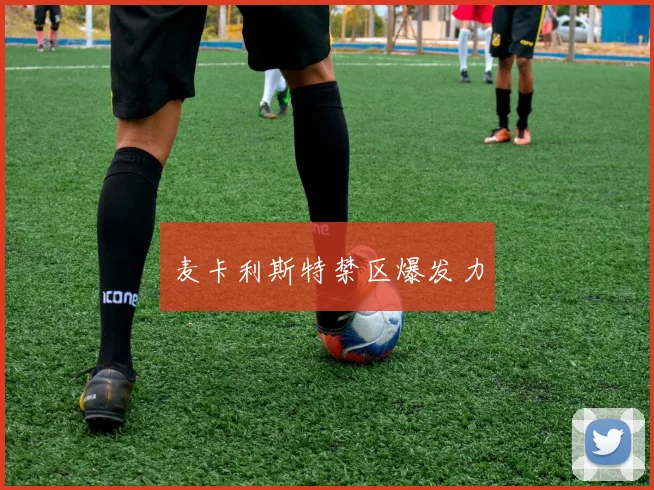 麦卡利斯特禁区爆发力