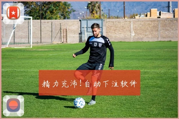 精力充沛!自动下注软件