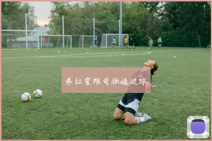 弗拉霍维奇独造进球