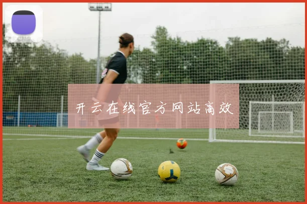开云在线官方网站高效