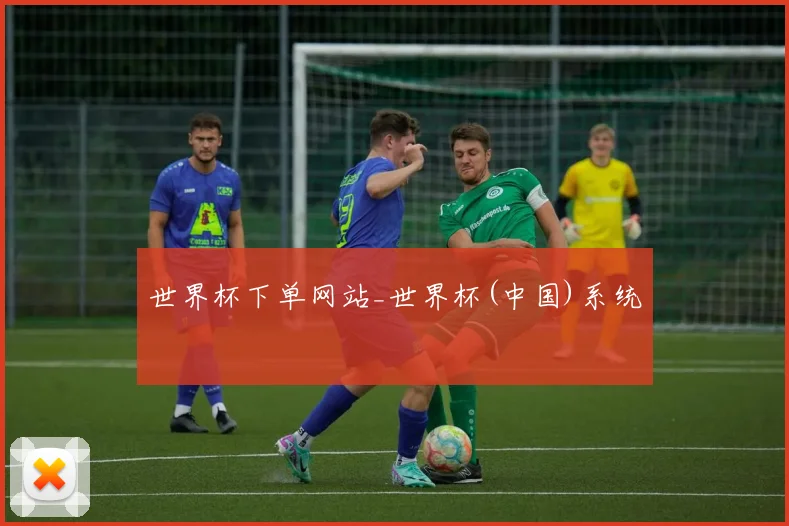 世界杯下单网站_世界杯(中国)系统