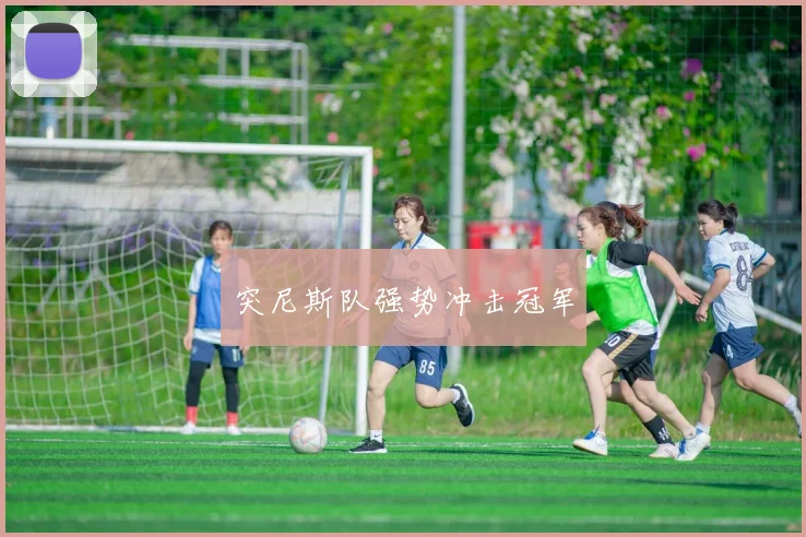 突尼斯队强势冲击冠军