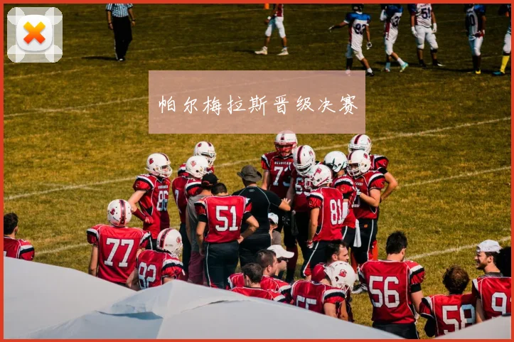 帕尔梅拉斯晋级决赛