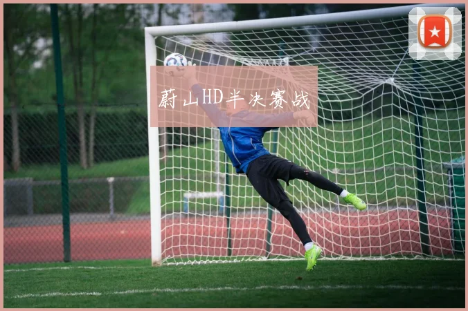 蔚山HD半决赛战