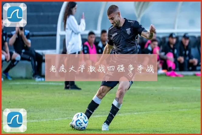 老虎大学激战四强争夺战
