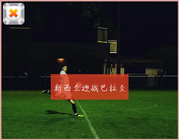 新西兰迎战巴拉圭