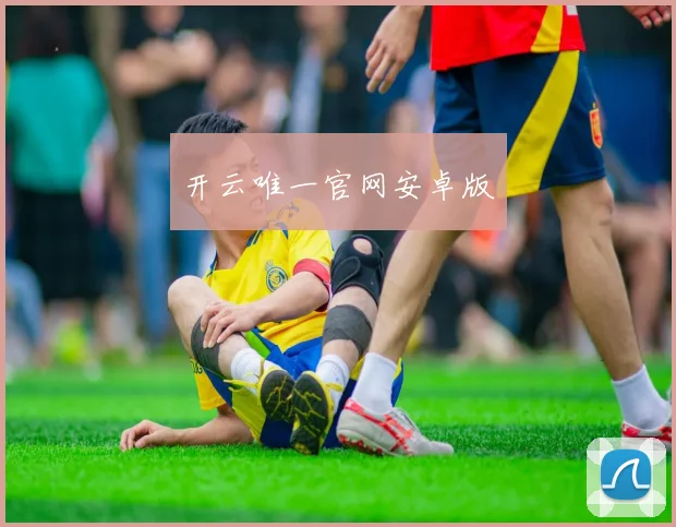 开云唯一官网安卓版