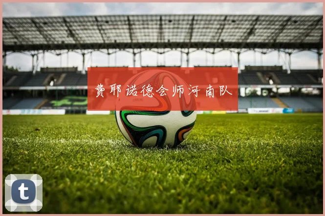 费耶诺德会师河南队