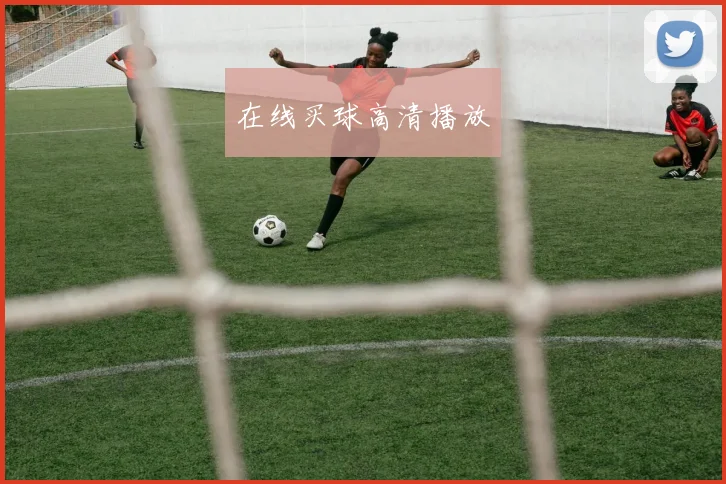 在线买球高清播放