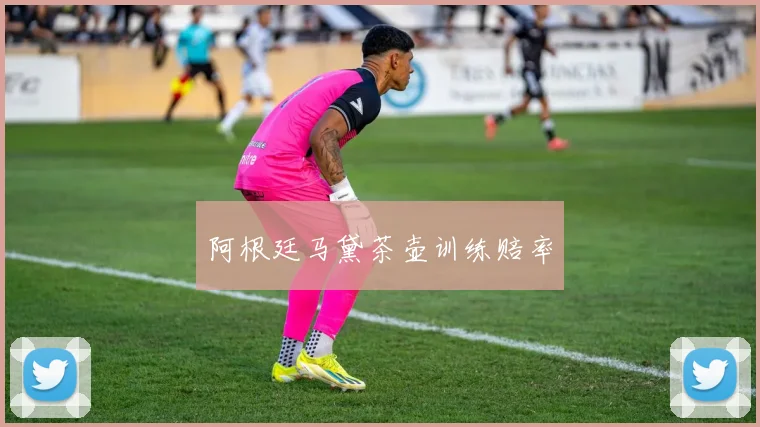 阿根廷马黛茶壶训练赔率