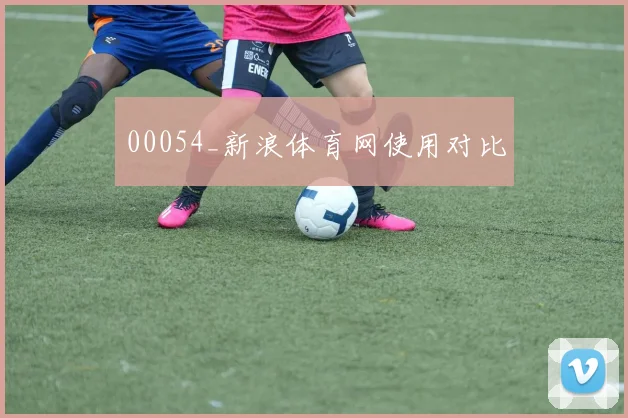 00054_新浪体育网使用对比