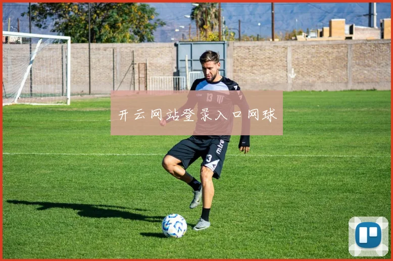 开云网站登录入口网球