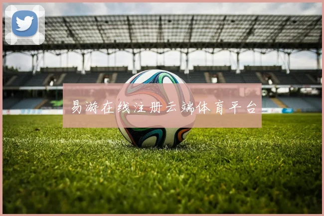 易游在线注册云端体育平台