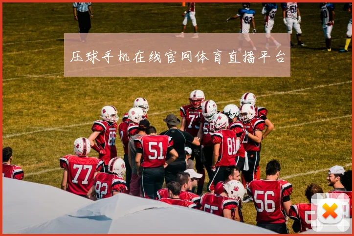 压球手机在线官网体育直播平台