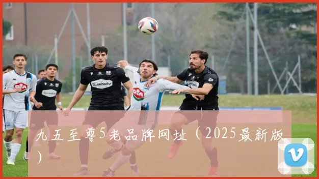 九五至尊5老品牌网址（2025最新版）