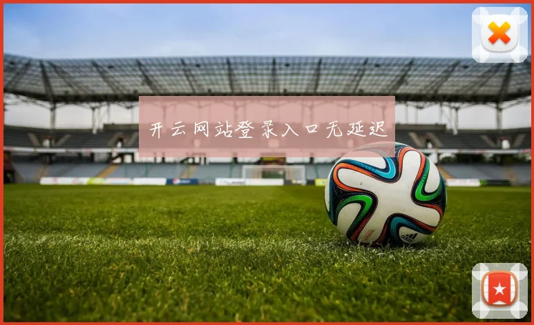开云网站登录入口无延迟