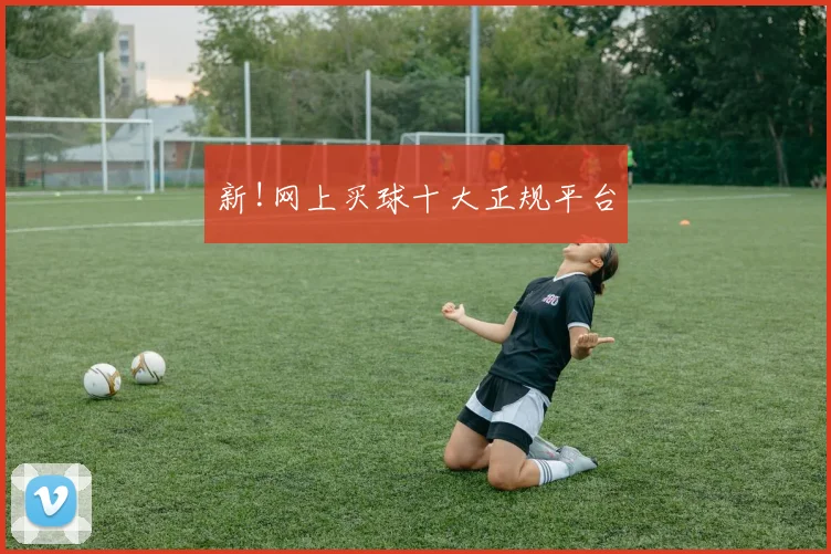 新!网上买球十大正规平台