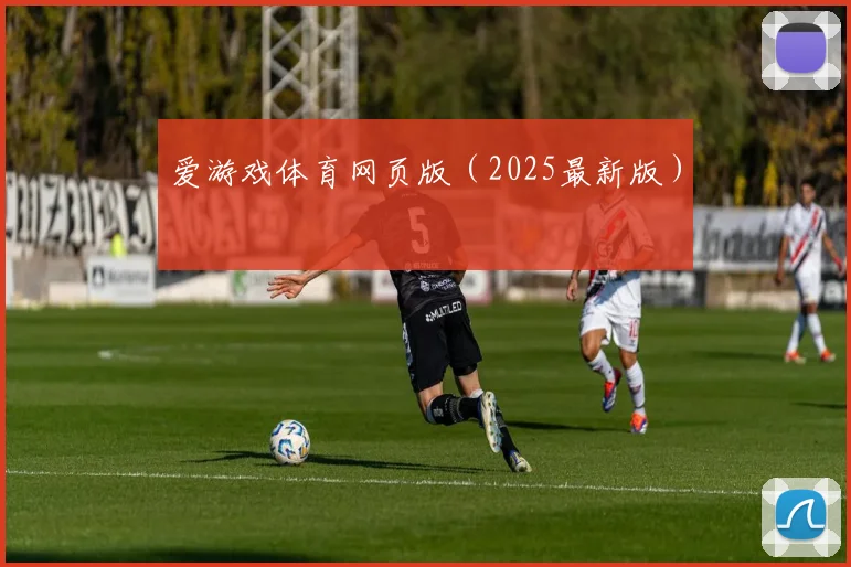 爱游戏体育网页版（2025最新版）