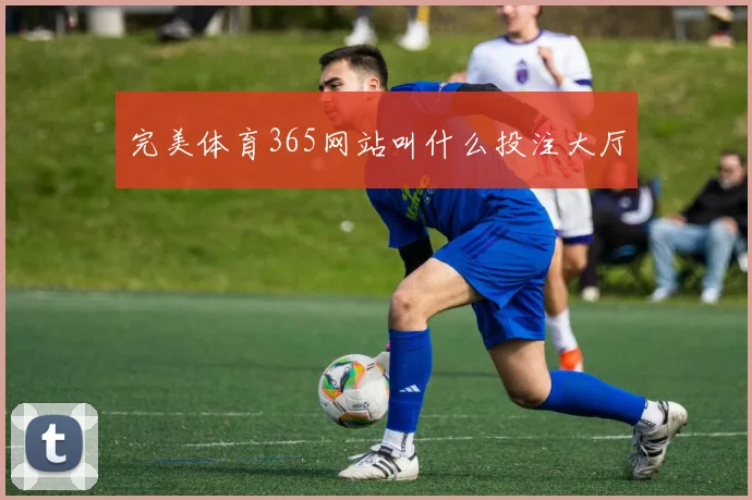 完美体育365网站叫什么投注大厅