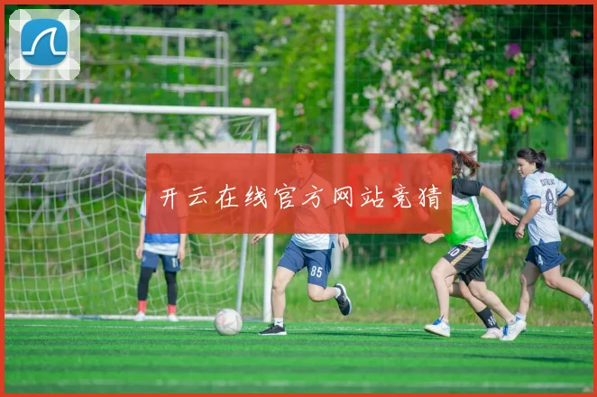 开云在线官方网站竞猜