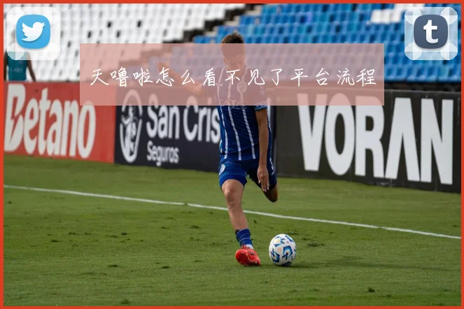 天噜啦怎么看不见了平台流程