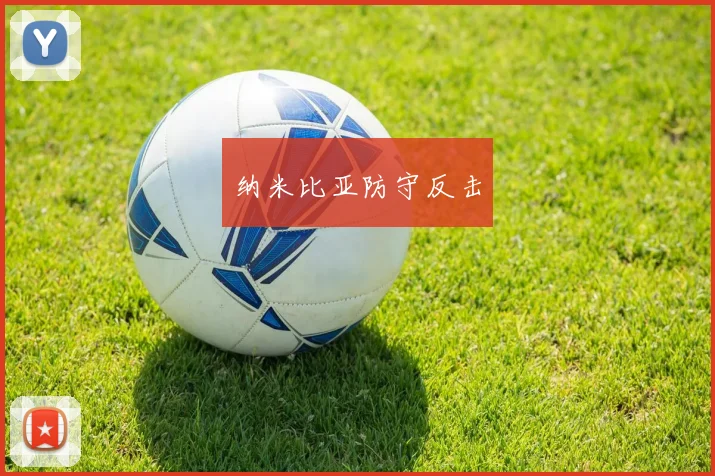 纳米比亚防守反击