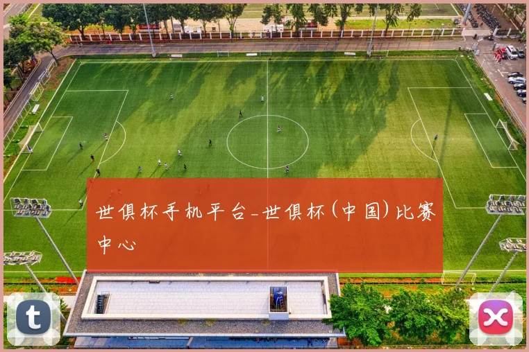 世俱杯手机平台_世俱杯(中国)比赛中心