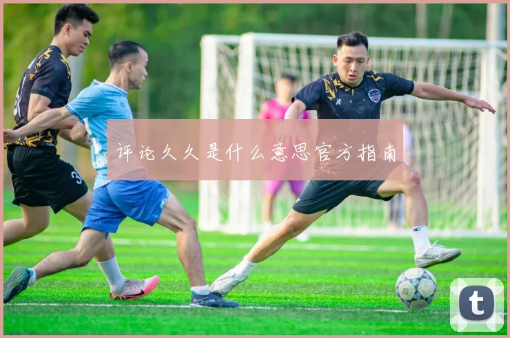 评论久久是什么意思官方指南