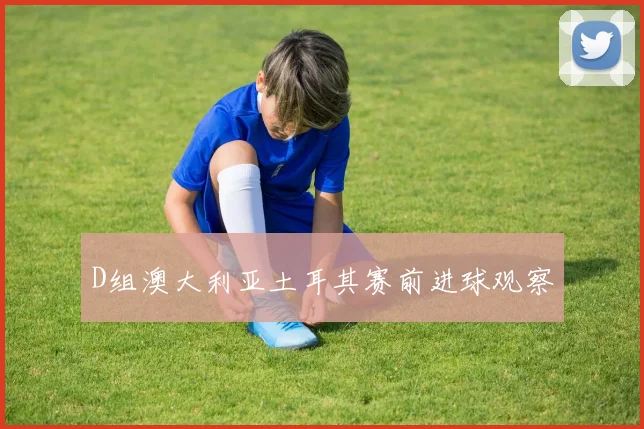 D组澳大利亚土耳其赛前进球观察