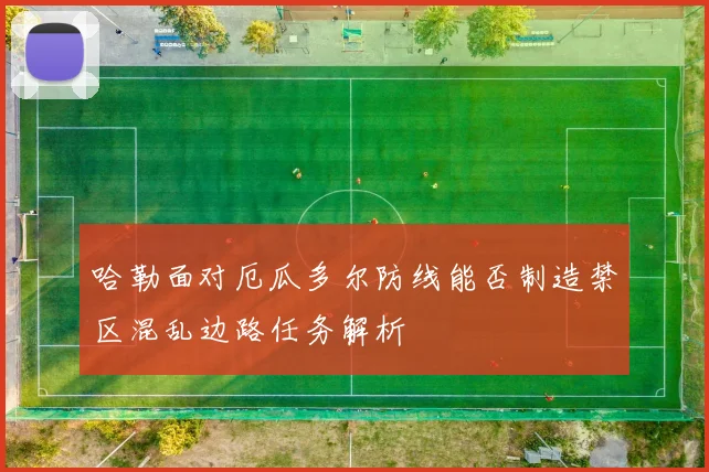 哈勒面对厄瓜多尔防线能否制造禁区混乱边路任务解析