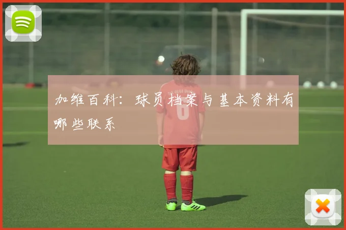 加维百科：球员档案与基本资料有哪些联系