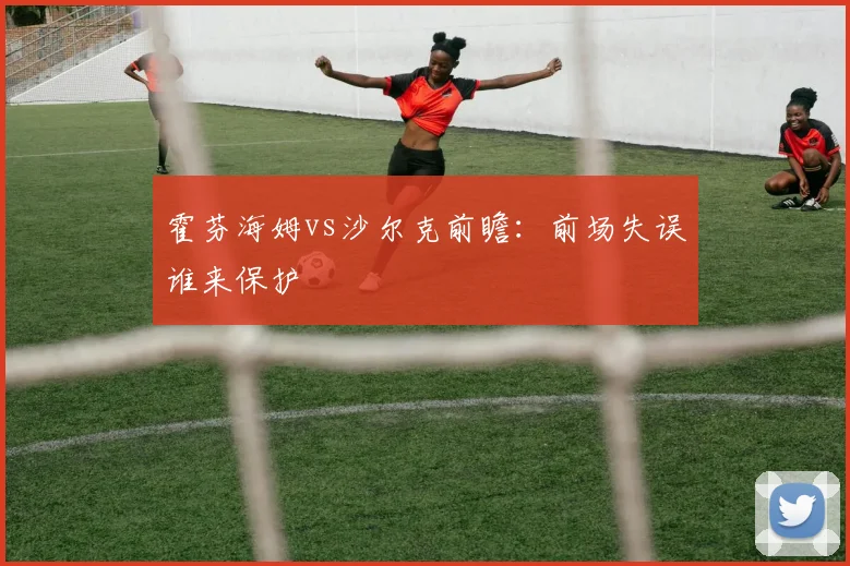 霍芬海姆vs沙尔克前瞻:前场失误谁来保护